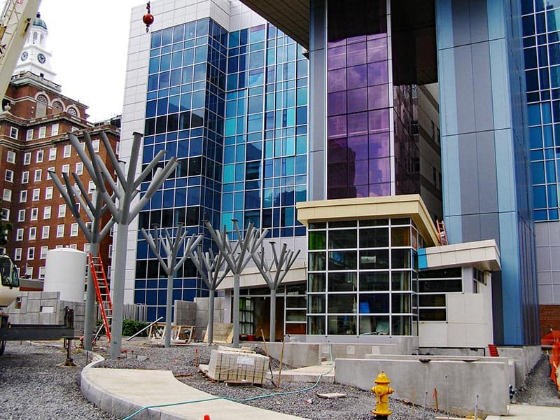 Children's Hospital canopy trees and tree-house entry